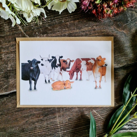 Cows card