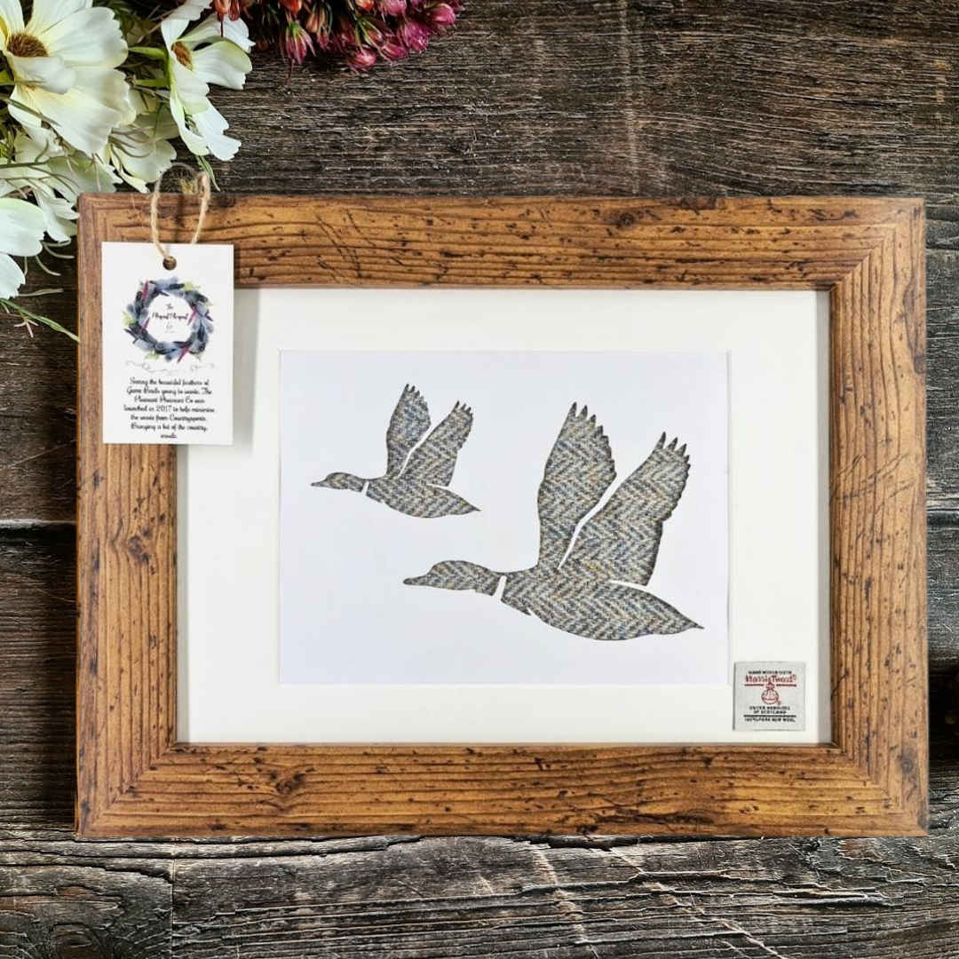 Pair of Ducks Flying