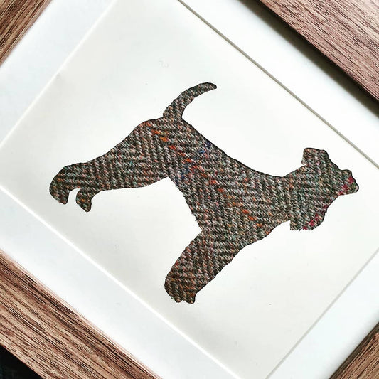 Airedale Terrier in Harris Tweed