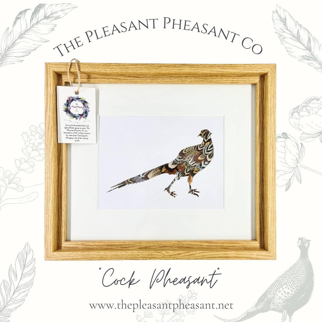 Cock / Hen Pheasant