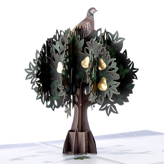 Partridge in a Pear Tree Pop Up Card