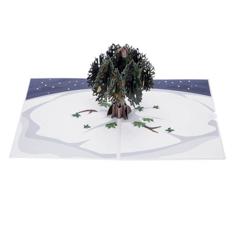 Partridge in a Pear Tree Pop Up Card