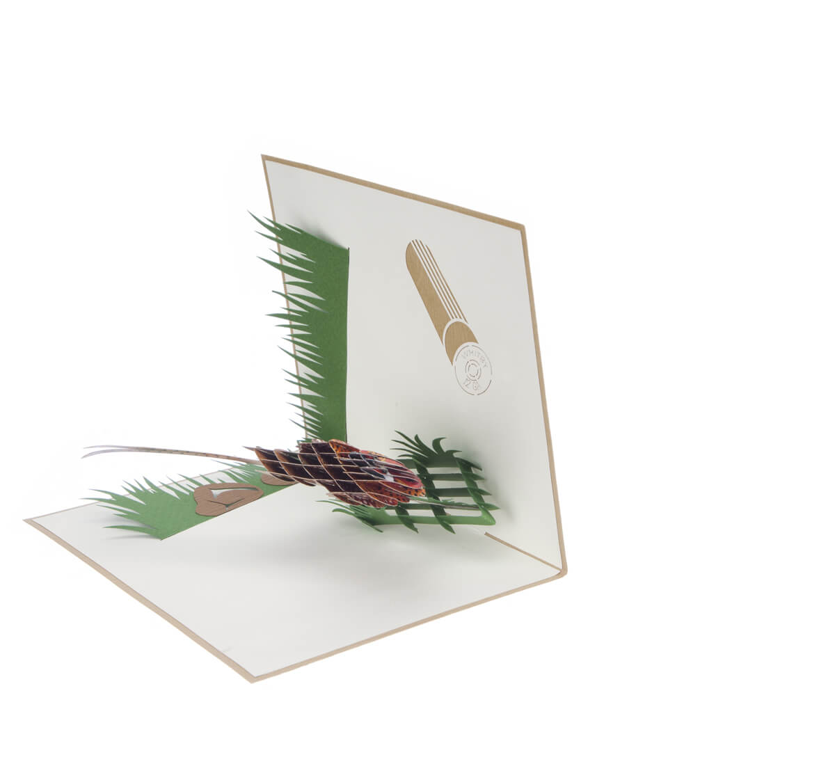 Pheasant "Takes Some Beating" Pop Up Card