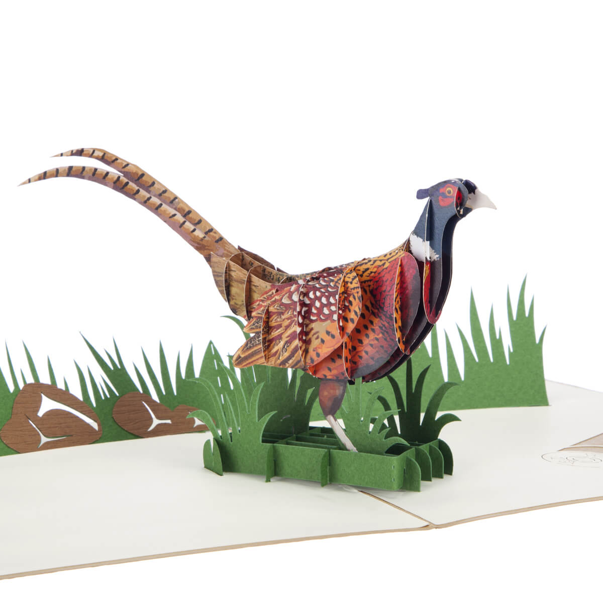 Pheasant "Takes Some Beating" Pop Up Card