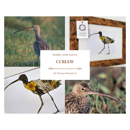 Curlew - Flora & Fauna