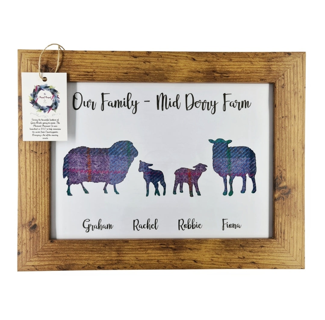 Our Family - Sheep Edition