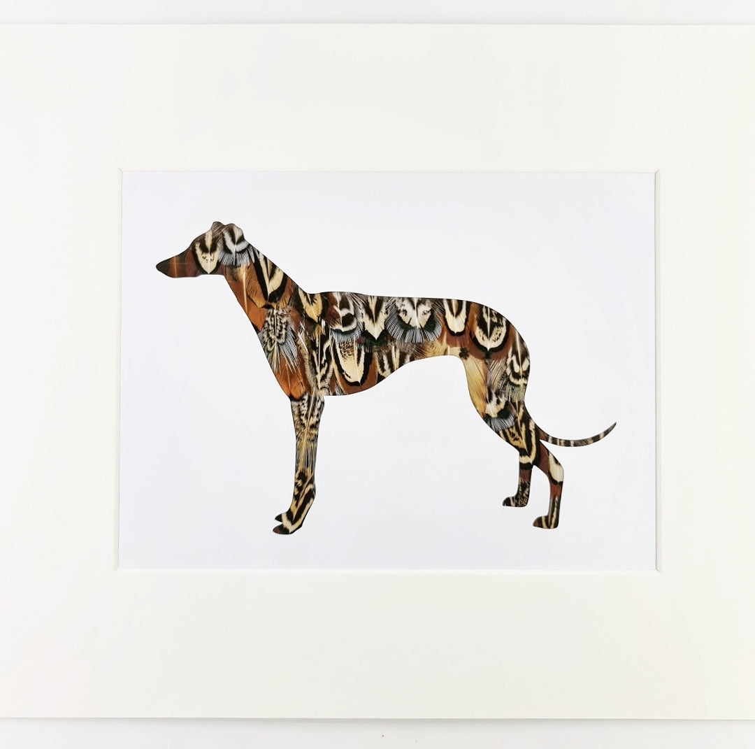 Lurcher / Greyhound - Sighthound