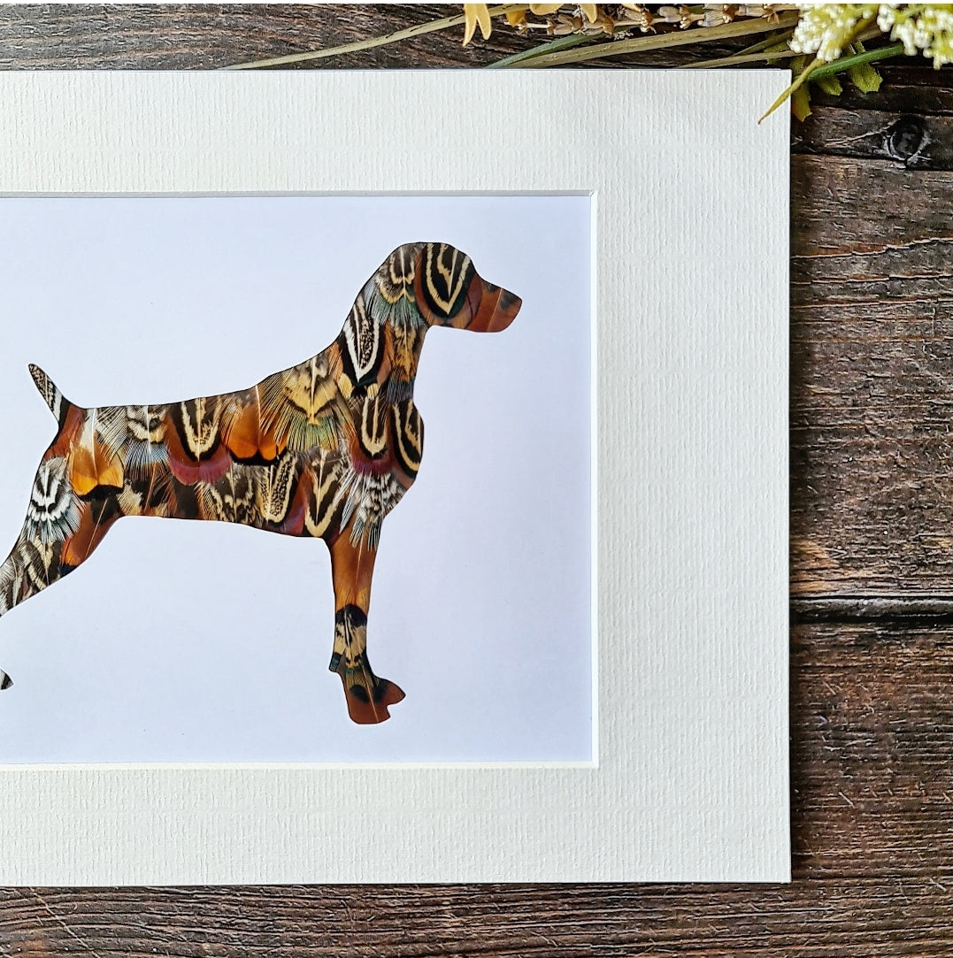 German Shorthaired Pointer