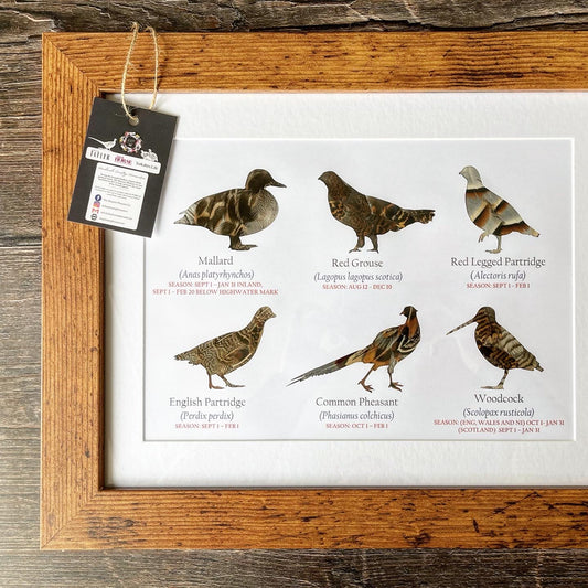 Great British Game Birds