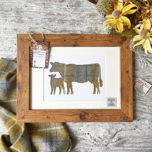 Cow and Calf in Harris Tweed