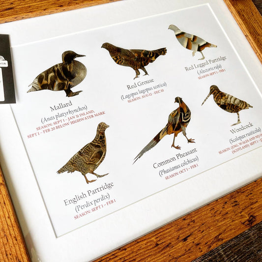 Great British Game Birds