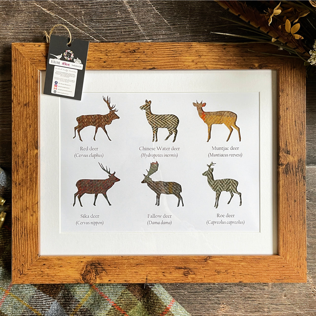 Great British Deer