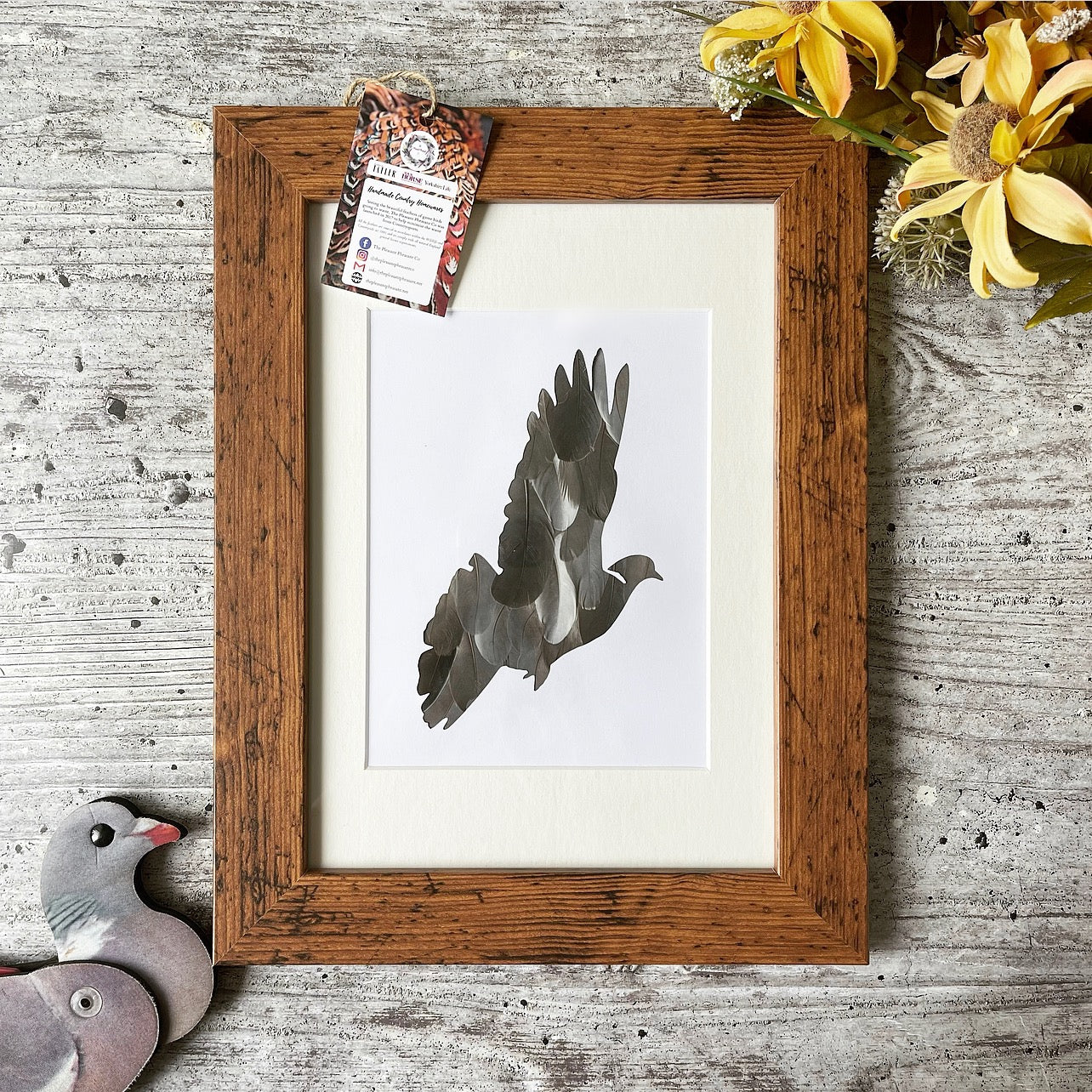 Woodpigeon